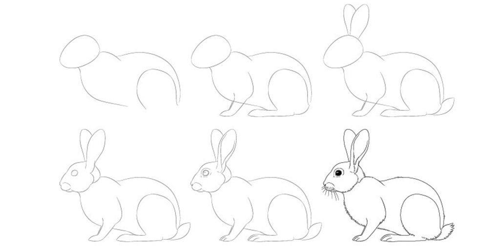 Малюнок кролика олівцем