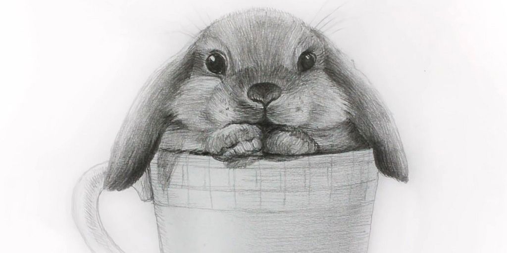 Кролик у чашці олівцем