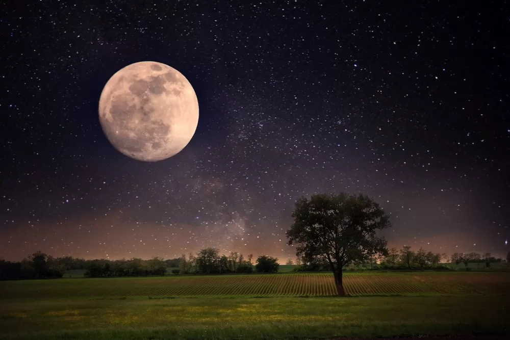 Місяць на тлі зірок над полем